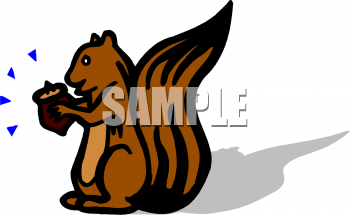 Squirrel Clipart