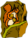 Squirrel Clipart