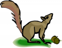 Squirrel Clipart
