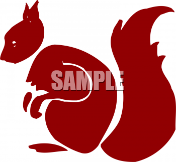 Squirrel Clipart