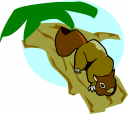 Squirrel Clipart