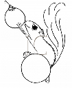 Squirrel Clipart