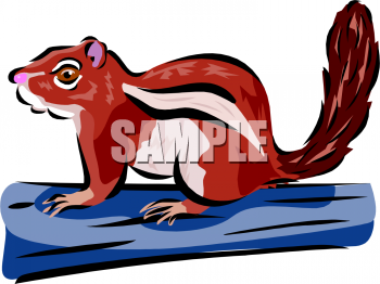 Squirrel Clipart