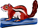Squirrel Clipart