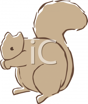 Squirrel Clipart