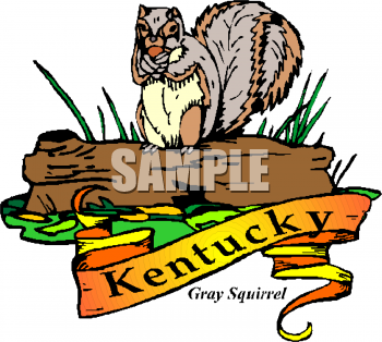 Squirrel Clipart