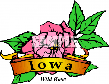 Rose Clipart