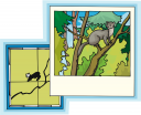 Squirrel Clipart