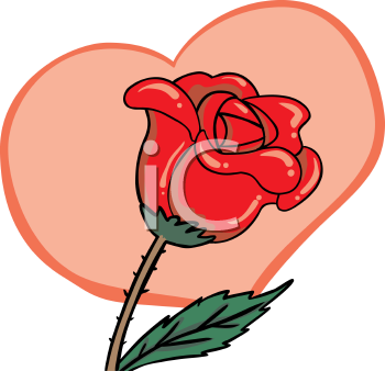Rose Clipart