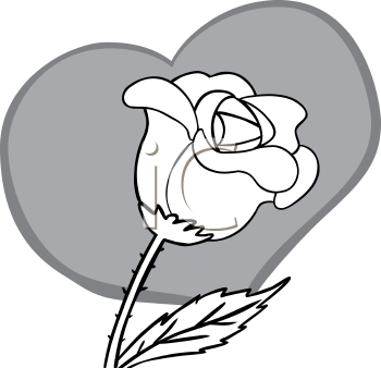 Rose Clipart