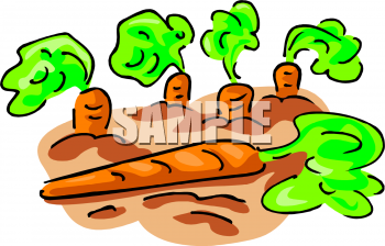 Carrot Clipart