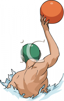 Polo Clipart